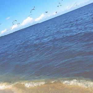 Meet your Posher, Yaritza